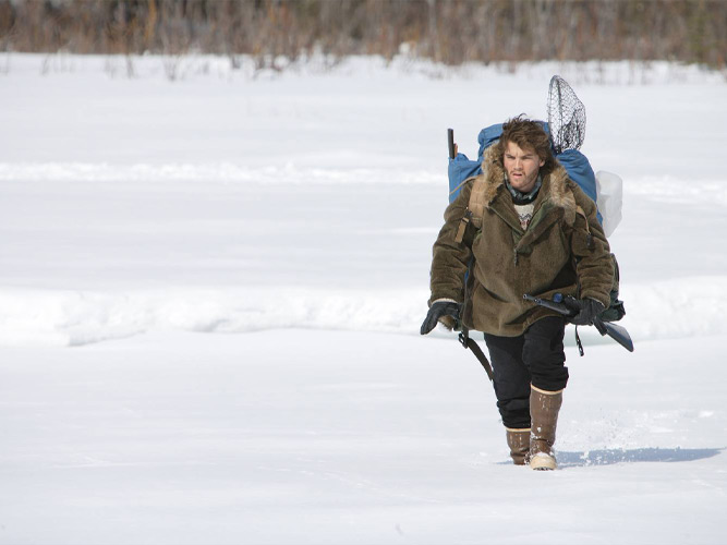 Into The Wild Into The Wild