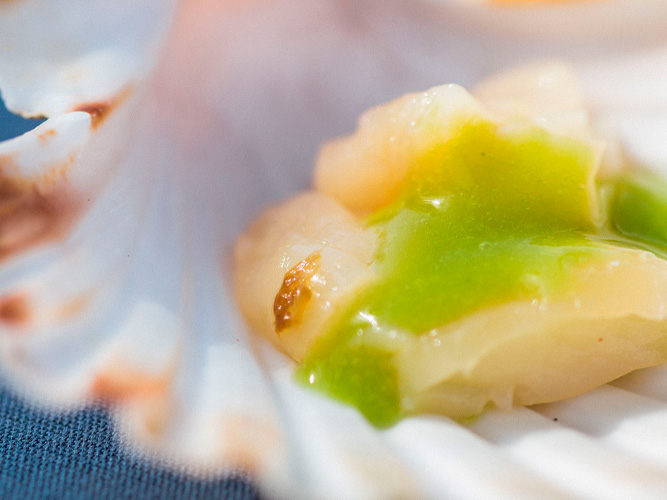 SON Estrella Galicia Posidonia 2020 SON Estrella Galicia Posidonia 2020 foto comida