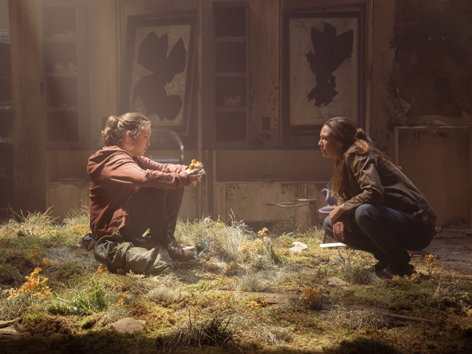 The Last of Us The Last of Us
