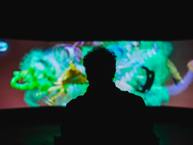 Visual Bird Sounds Visual Bird Sounds