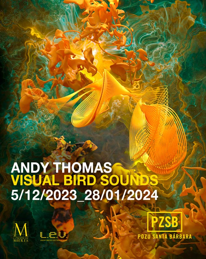 Visual Bird Sounds Visual Bird Sounds